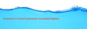 Testosteron ve Cinsel Performans Arasındaki Bağlantı