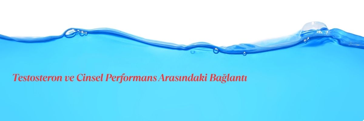 Testosteron ve Cinsel Performans Arasındaki Bağlantı
