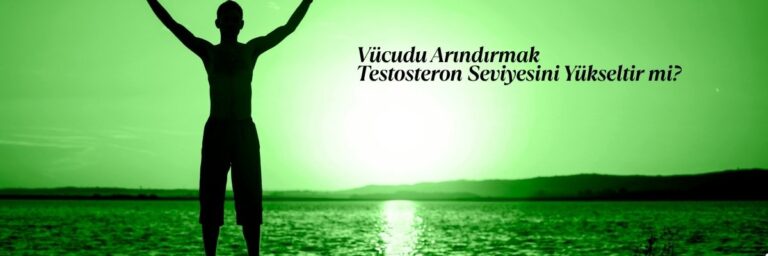Vücudu Arındırmak Testosteron Seviyesini Yükseltir mi