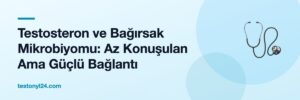Testosteron ve Bağırsak Mikrobiyomu: Az Konuşulan Ama Güçlü Bağlantı