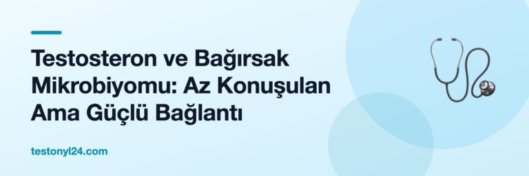 Testosteron ve Bağırsak Mikrobiyomu: Az Konuşulan Ama Güçlü Bağlantı